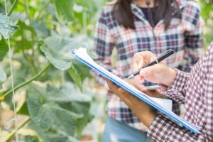 Agronomy Consultancy