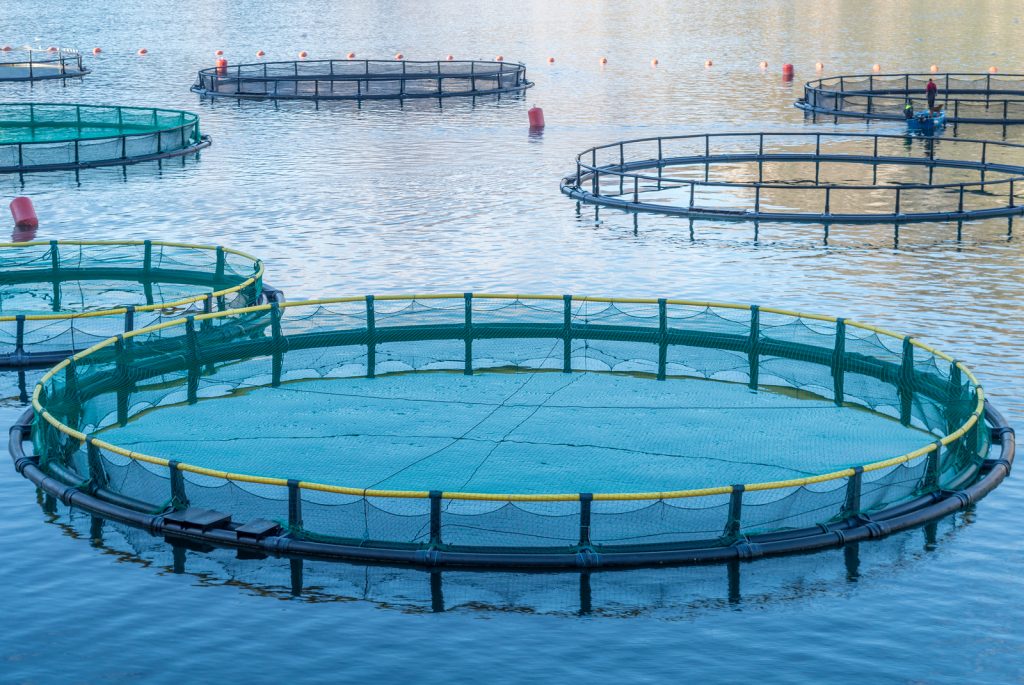 fish farming