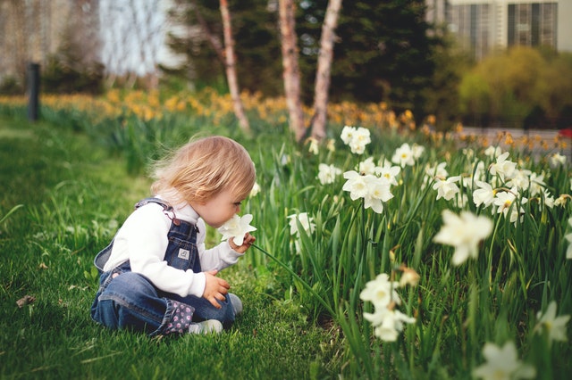 How To Start A Garden