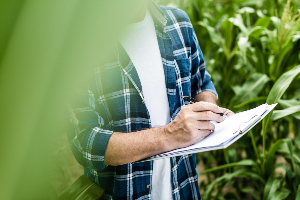 Expect From an Agronomy Consultant