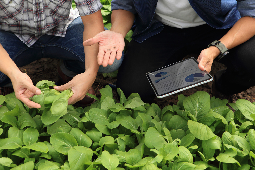 Needs Agronomy Consultancy