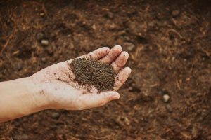 Healthy Soil