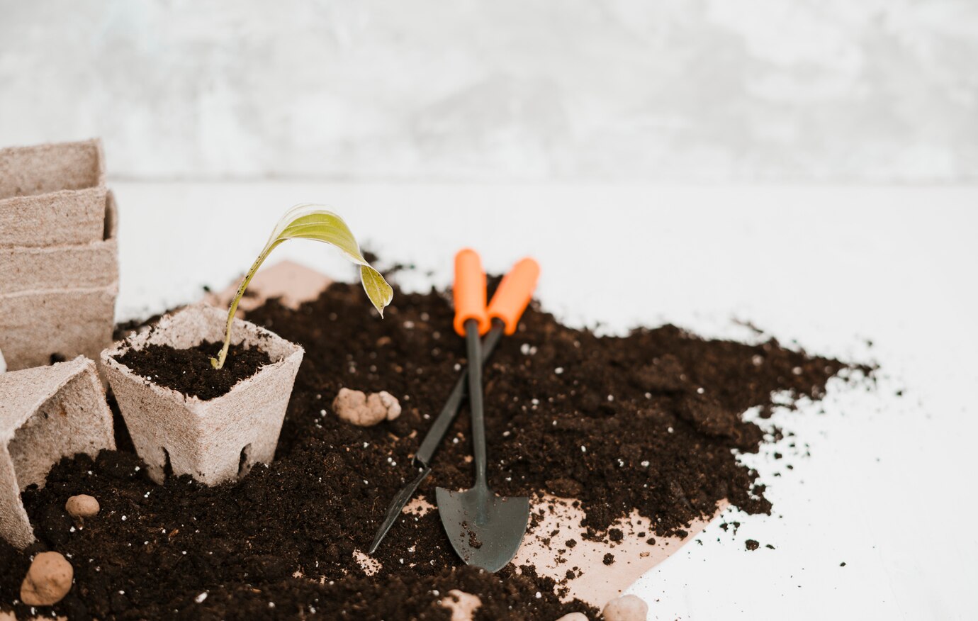 Improving-Soil Health