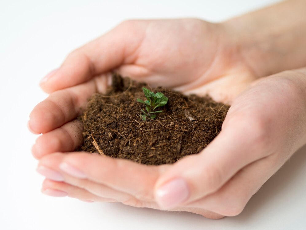 Organic Soil Amendments