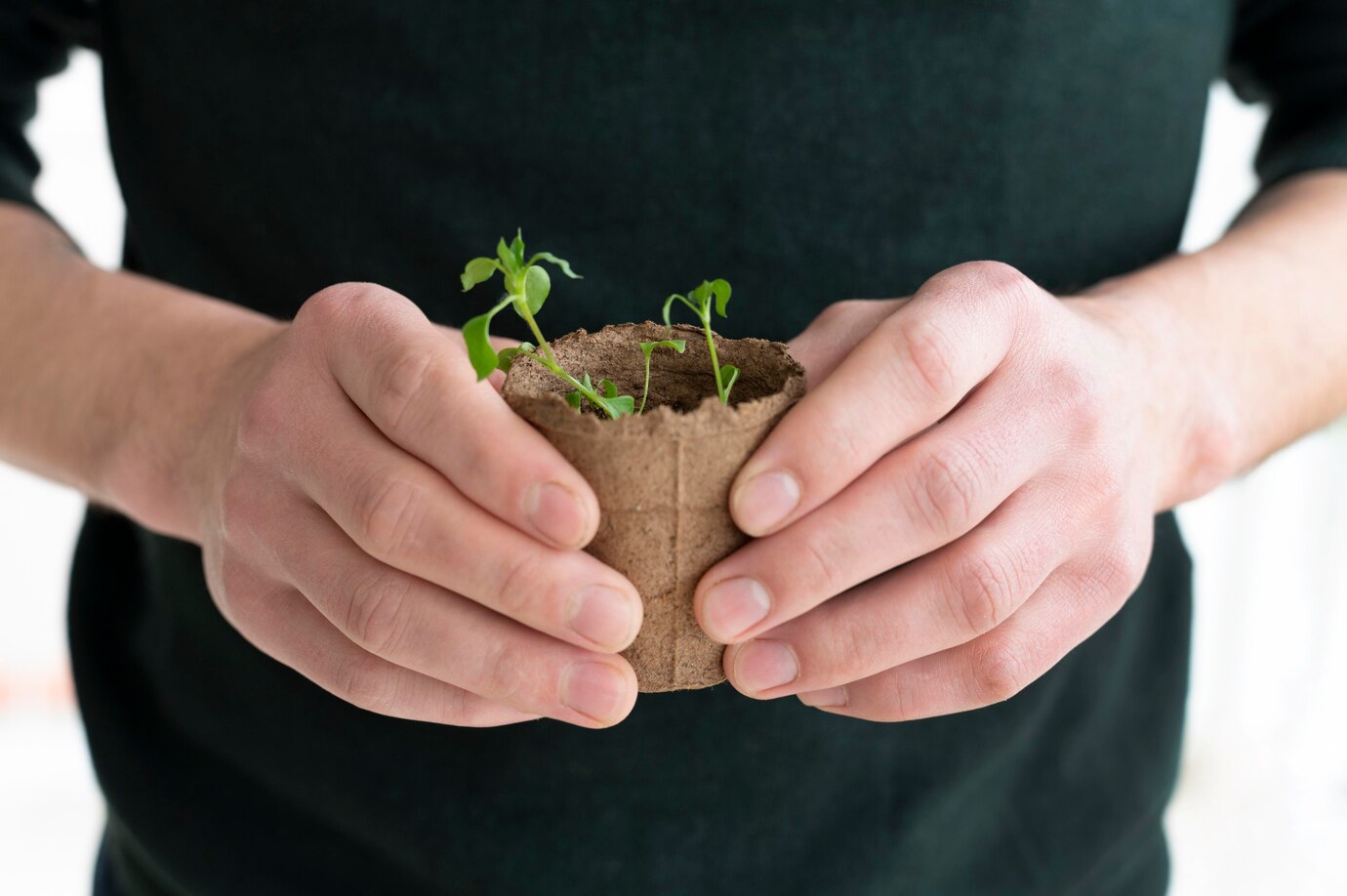 Organic Soil Amendments