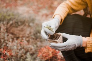 Improving Soil Health