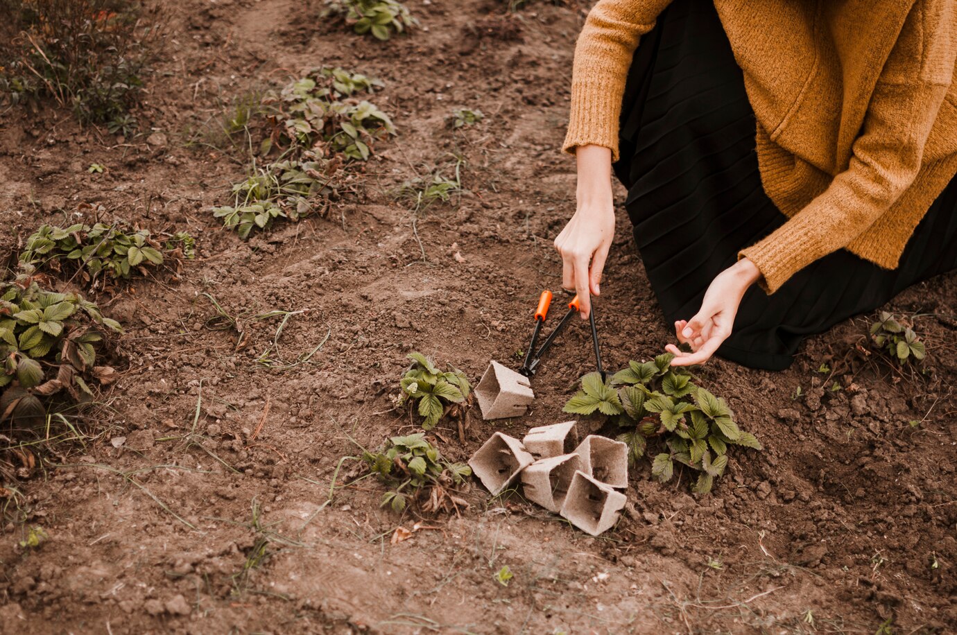 Soil-Health Basics