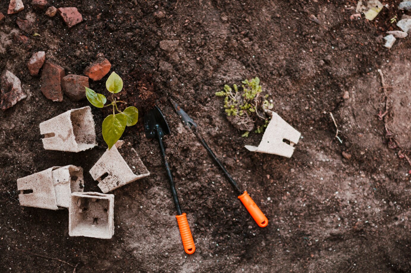 Soil-Health-Basics