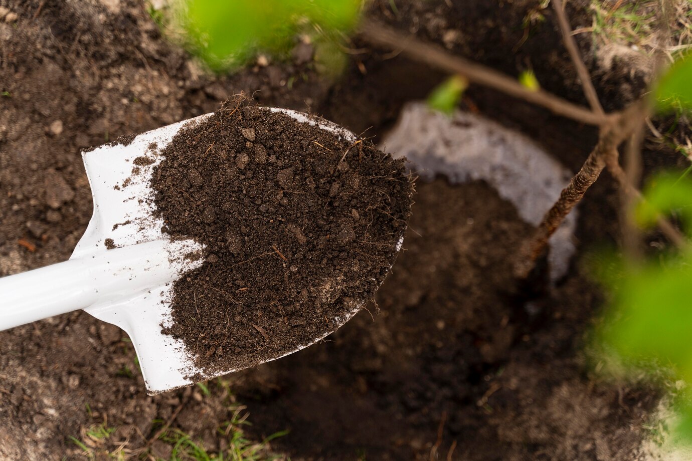 Soil Health Basics