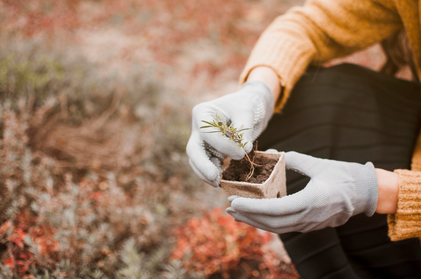 Improving Soil Health
