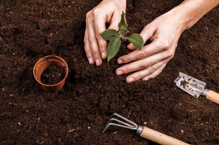 How Crop Rotation Transforms Soil into a Fertile Haven for Crops