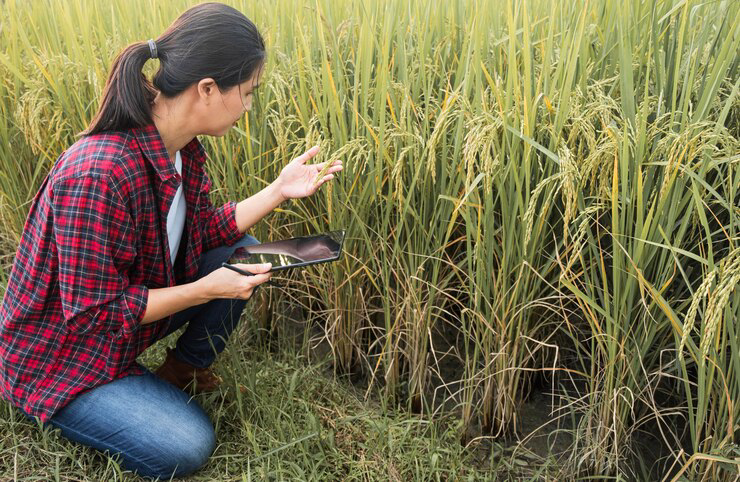 Strategic Crop Rotation