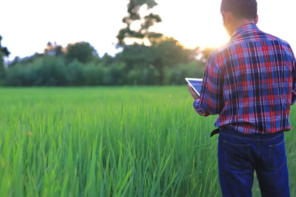 Why Agronomy Services Matter