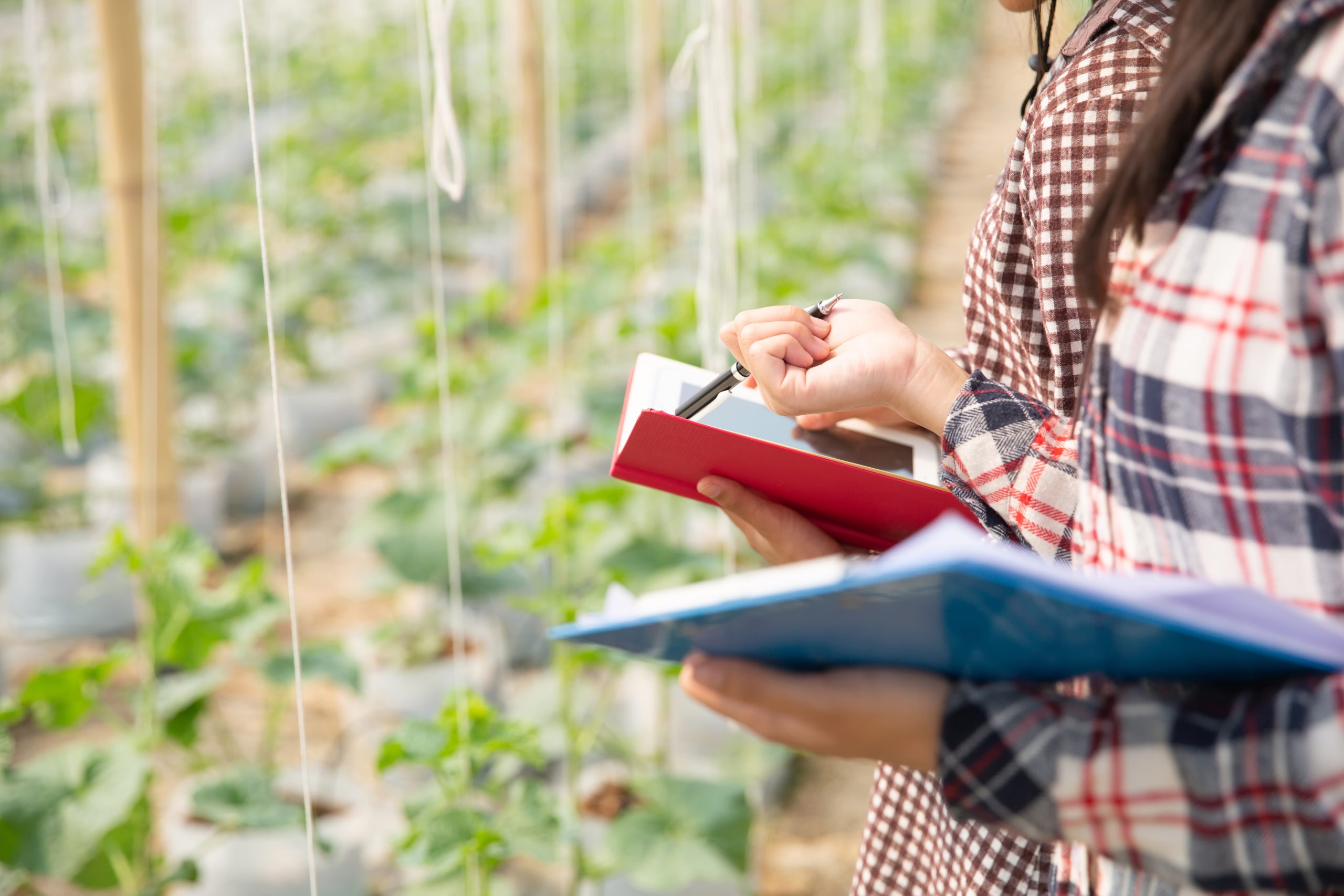 Getting the Most Out of Agronomy Consultancy