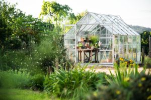 Greenhouse Design